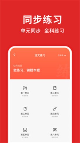 题拍拍app