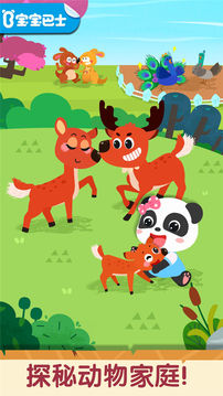 奇妙的动物家庭安卓版下载最新版