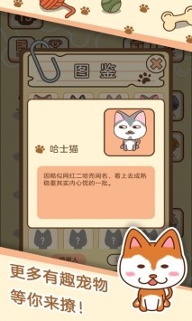 猛宠派对手机版