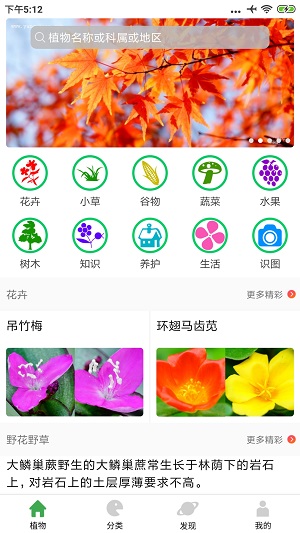 植物百科安卓版app