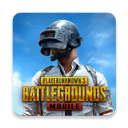 pubg国际服安卓版