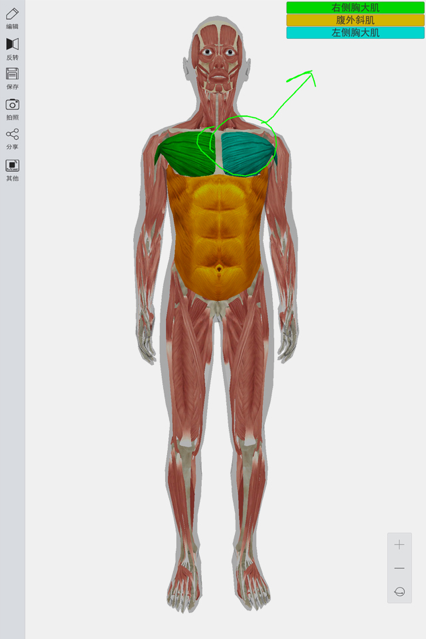 3d人体模型手机版