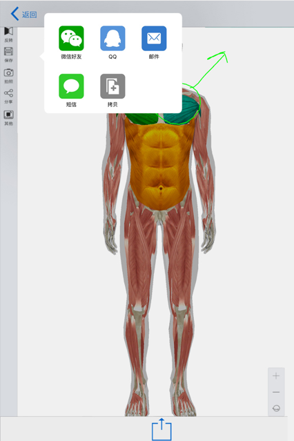 3d人体模型手机版app最新下载