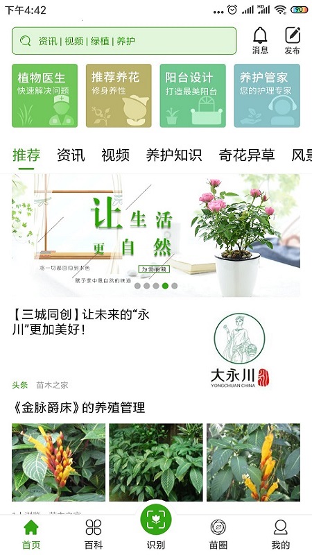 苗木之家app